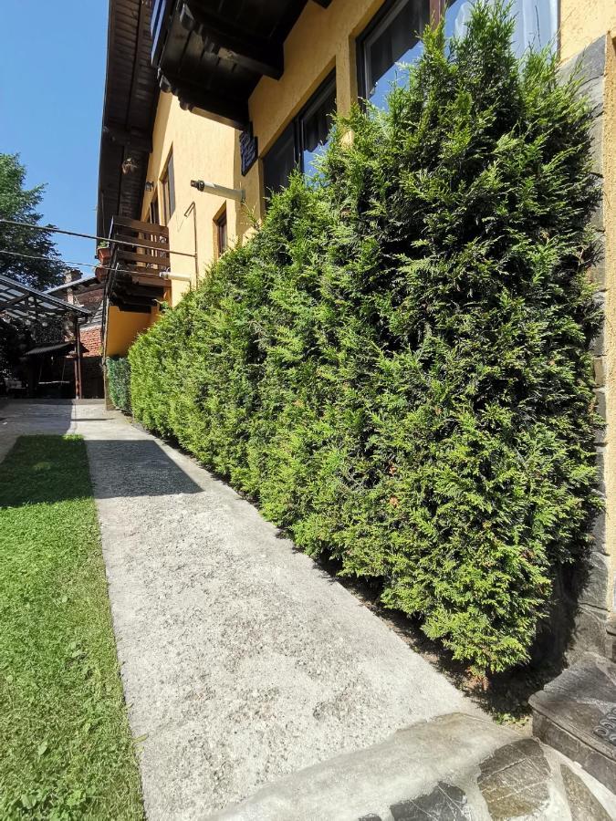 Shelby Accommodation -Adult Only- Sinaia Kültér fotó