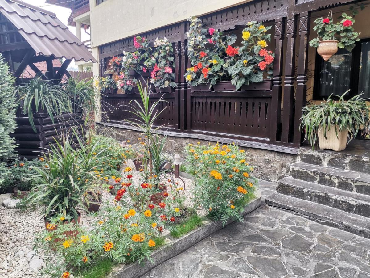 Shelby Accommodation -Adult Only- Sinaia Kültér fotó