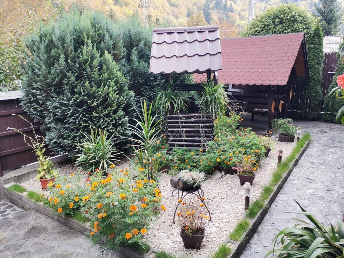 Shelby Accommodation -Adult Only- Sinaia Kültér fotó