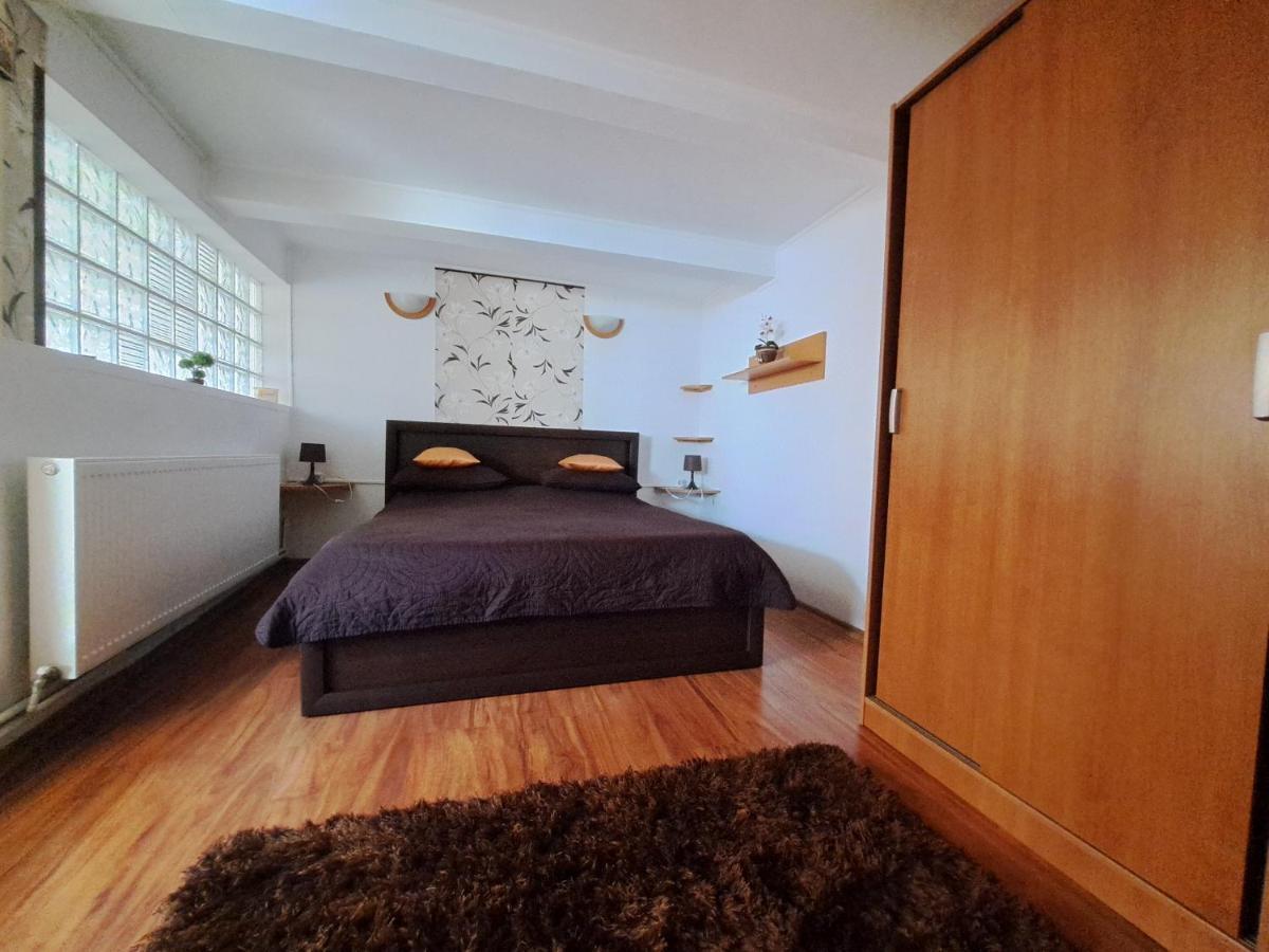 Shelby Accommodation -Adult Only- Sinaia Kültér fotó