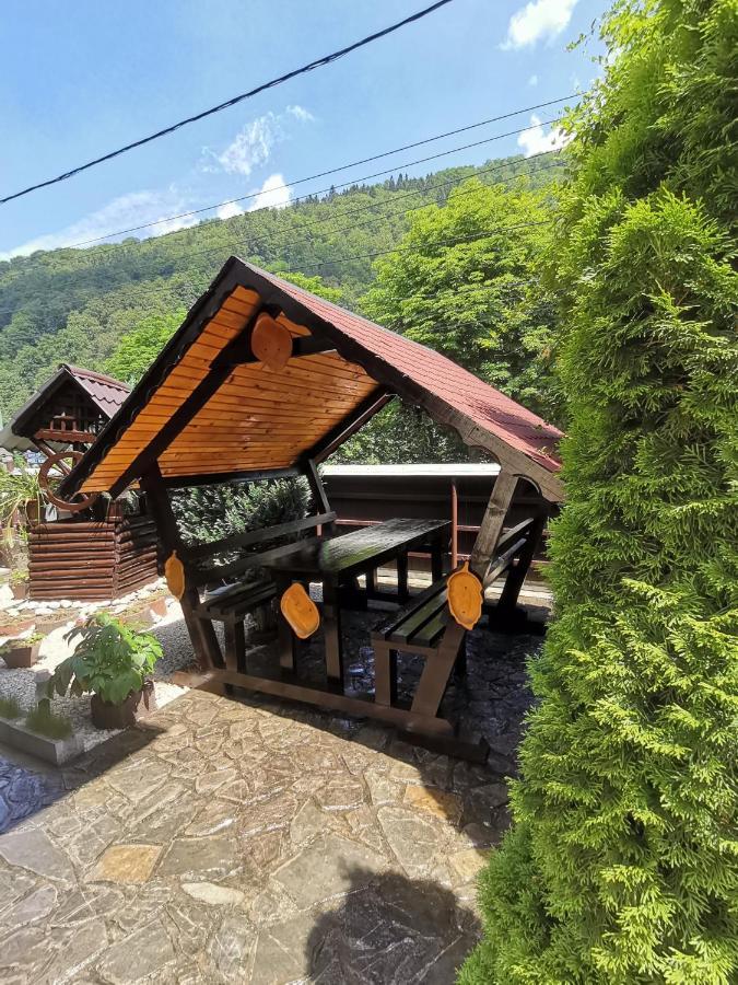 Shelby Accommodation -Adult Only- Sinaia Kültér fotó