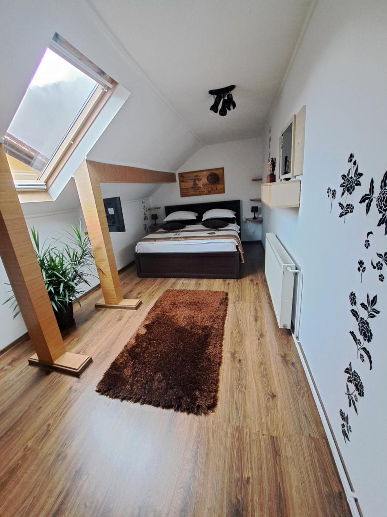 Shelby Accommodation -Adult Only- Sinaia Kültér fotó